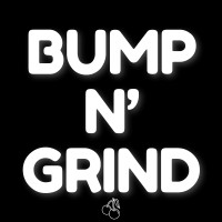 Bump N' Grind Records