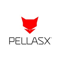 PellasX Sp. z o.o. Sp. k. logo - Similar company to Devpark Sp. Z O.O.  Programming & Infrastructure