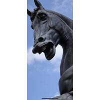 Southlake Tennis Center logo - Similar company to Pyfi