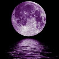 Nocturnal 702 logo - Similar company to Meetoutside