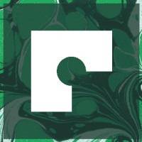 Rainwing logo - Similar company to Apophis
