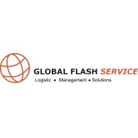 Global Flash Service GmbH & Co. KG logo - Similar company to Labor Dr. Riegel