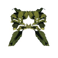 August Interior logo - Similar company to Maven Interior Design