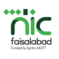 NIC Faisalabad logo - Similar company to Axial Consulting