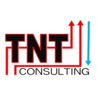 TNT Consulting LLP logo - Similar company to Tiny & Tails Eco Shop