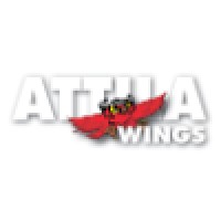 Attila Wings