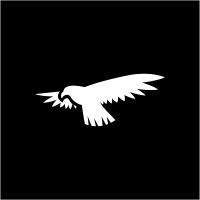 The Beyond Collective logo - Similar company to Beyond