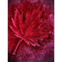 Cabernet Carpets Inc logo - Similar company to Area Rug Shop