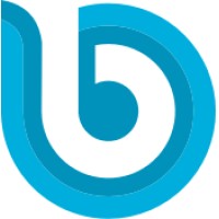 Bayport Networks, Inc. logo - Similar company to Renascent Technology, Llc