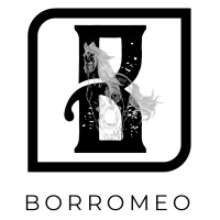 Borromeo Ventures Group Inc logo - Similar company to Stratellix