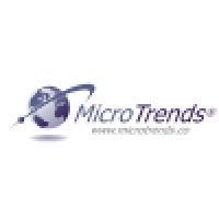 MicroTrends logo - Similar company to Microtrends Computing Services Inc