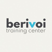 Berivoi logo - Similar company to Beriverse