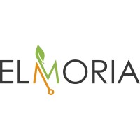 Elmoria Gmbh | It-Solutions