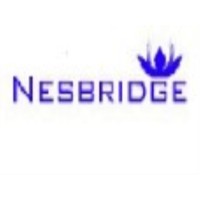 Nesbridge logo - Similar company to Lexaltico Llp