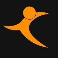 Pro Action Fitness logo - Similar company to Goldtek Computadores
