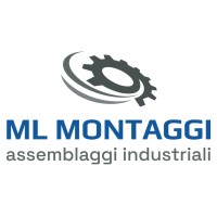 ML Montaggi logo - Similar company to Tesy4
