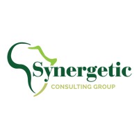 Synergetic Consulting Group logo - Similar company to Synergetic Development Group (Sdg)