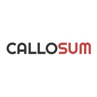 Callosum Partners logo - Similar company to Total It Solutions