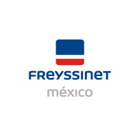 Freyssinet de México S.A. de C.V. logo - Similar company to Pilotec (Pilotes Y Tecnología, S.A.)