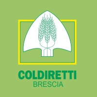 Coldiretti Brescia logo - Similar company to Coldiretti Marche