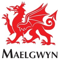 Maelgwyn Mineral Services Africa logo - Similar company to Coremet Mineral Processing