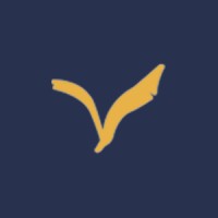 Condor Projects logo - Similar company to Loxton Installations Limited