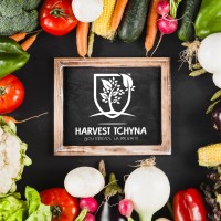 Harvest Tchyna Haiti logo - Similar company to Global Freedom Group 501(C)3
