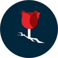 Concrete Rose logo - Similar company to Concreterose Workforce Solutions