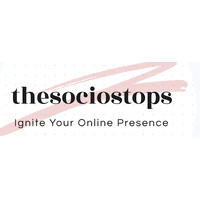 thesociostops logo - Similar company to Mv Infotech Systems Pvt. Ltd.