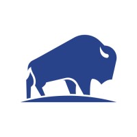 Bison Business Consulting