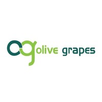 Olive Grapes logo - Similar company to Spark Studios