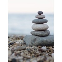 Becoming a masterful coach logo - Similar company to Open Frame Coaching