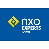 NXO Experts logo - Similar company to Matooma
