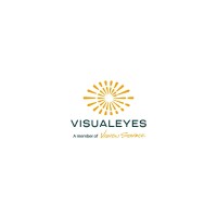 Visual Eyes logo - Similar company to Visualeyes