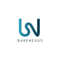 BareNexus Consultants logo - Similar company to Redcube Ads