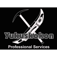 Yukuskokon Professional Services Llc