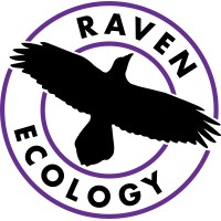 Raven Ecology logo - Similar company to Raven Managed Services