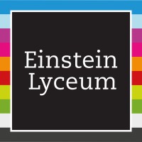 Einstein Lyceum Hoogvliet logo - Similar company to Medboxing