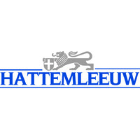 B.V. Hattemleeuw logo - Similar company to Ijzerleeuw