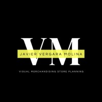 VM Consulting Limitada logo - Similar company to Be Visual