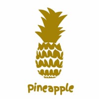 Pineapple Clothing logo - Similar company to Project Stitch