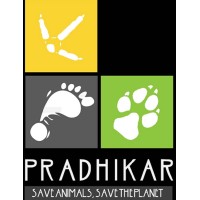 PRADHIKAR (প্রাধিকার) logo - Similar company to Badhon