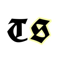 Techsecurity logo - Similar company to Techsecurity.Tech