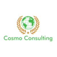 Cosmo Consulting Group logo - Similar company to Sts