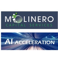 AI Acceleration / MCS (Molinero Capital Services) logo - Similar company to Molinero Capital Management