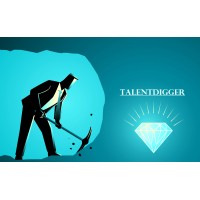 TALENTDIGGER logo - Similar company to Imatec Au Service De L'Image