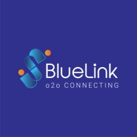BlueLink logo - Similar company to Krunos