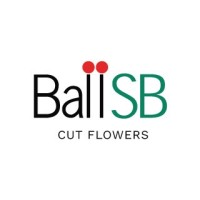 Ball SB logo - Similar company to Nébula