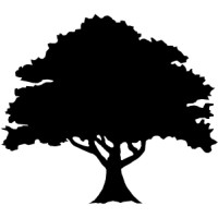 OAK Securities logo - Similar company to Good Governance Capital Ltd