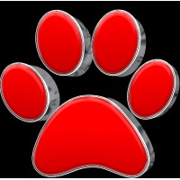 GUTTERDOGS Affordable Soft Power Washing & Safe Roof Cleaning logo - Similar company to Silversun Consulting